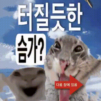 파일:터질듯한_슴가.gif