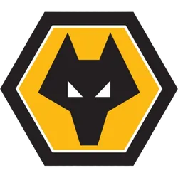 파일:울버햄튼 원더러스 FC CI.png