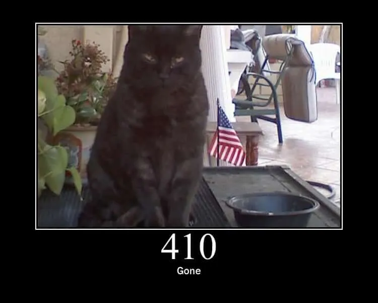 파일:410.jpg