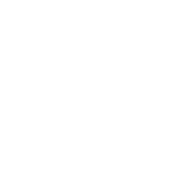 파일:PEAK 무게 아이콘.png