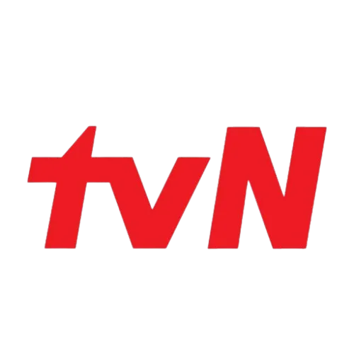 파일:tvN 로고.png
