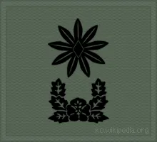 파일:소령 계급장.gif