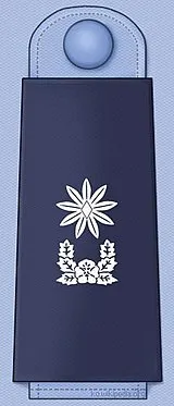 파일:대한민국 공군 소령 계급장.jpg