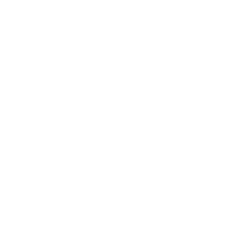 파일:PEAK 저주 아이콘.png