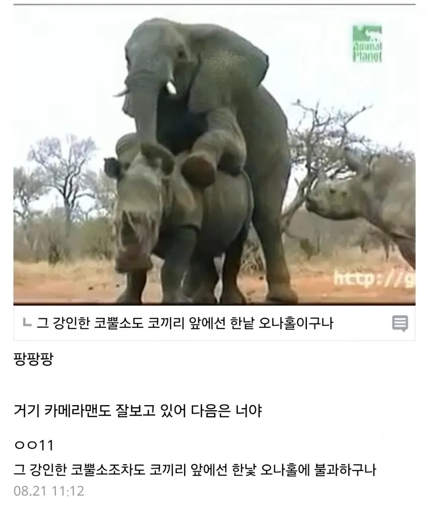 파일:777777.jpg
