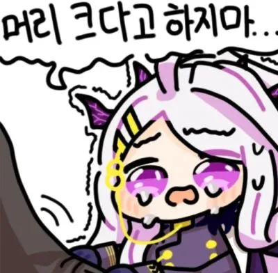 파일:머리크다고하지마.png