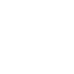파일:PEAK 가시 아이콘.png