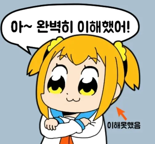 파일:완벽히 이해했어.jpg