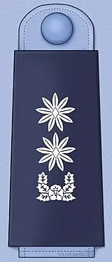 파일:대한민국 공군 중령 계급장.jpg