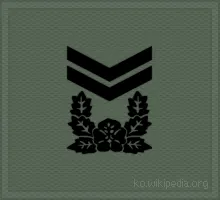 파일:중사.gif