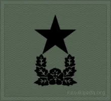 파일:준장 계급장.gif