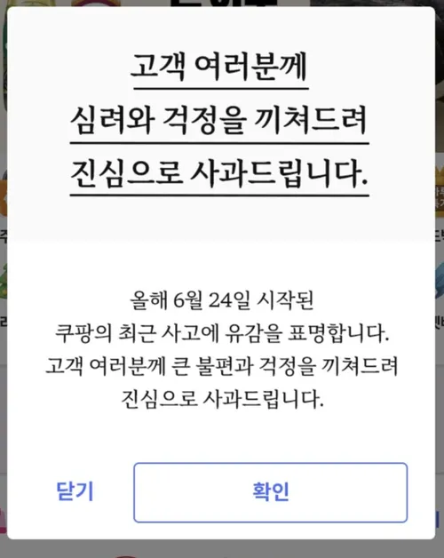 파일:쿠팡 모바일 앱에 접속하면 화면에 뜨던 사과문.png