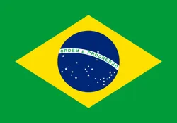 파일:브라질 국기.png