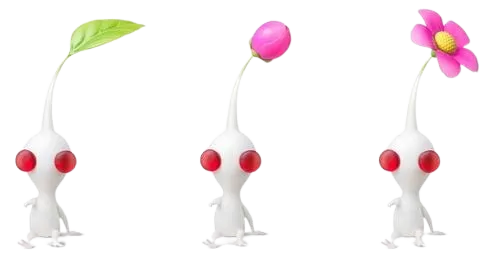 파일:하양 피크민 단계별 사진.png