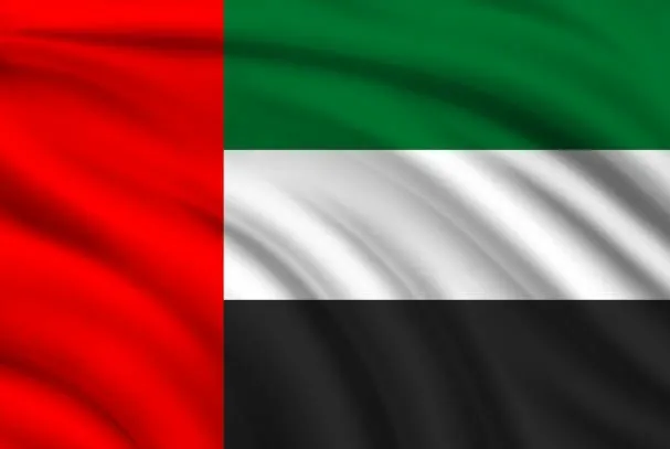 파일:아랍에미리트 국기1.jpg