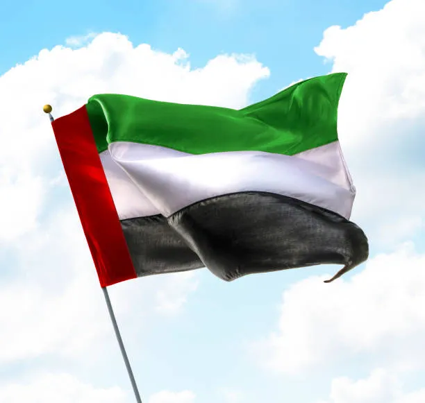 파일:아랍에미리트 국기2.jpg