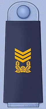 파일:대한민국 공군 상사 계급장.jpg