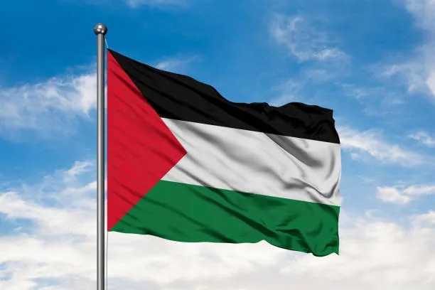 파일:팔레스타인 국기3.jpg