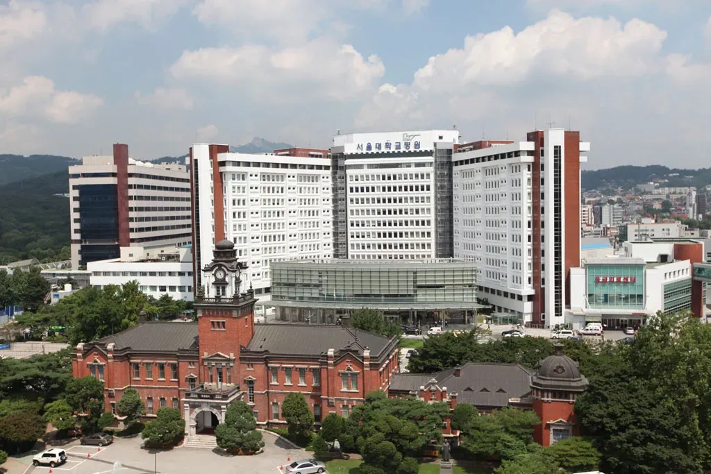 파일:연건캠퍼스 내 서울대학교병원 및 대한의원 본관.webp