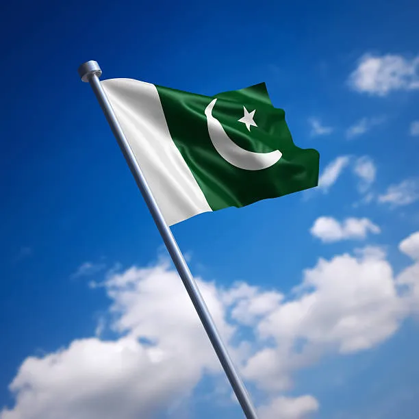파일:파키스탄 국기2.jpg