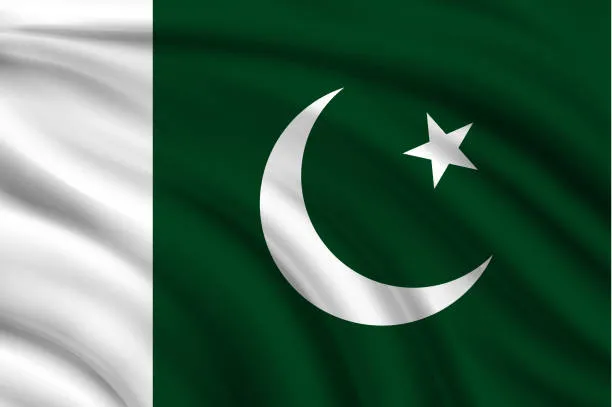 파일:파키스탄 국기1.jpg