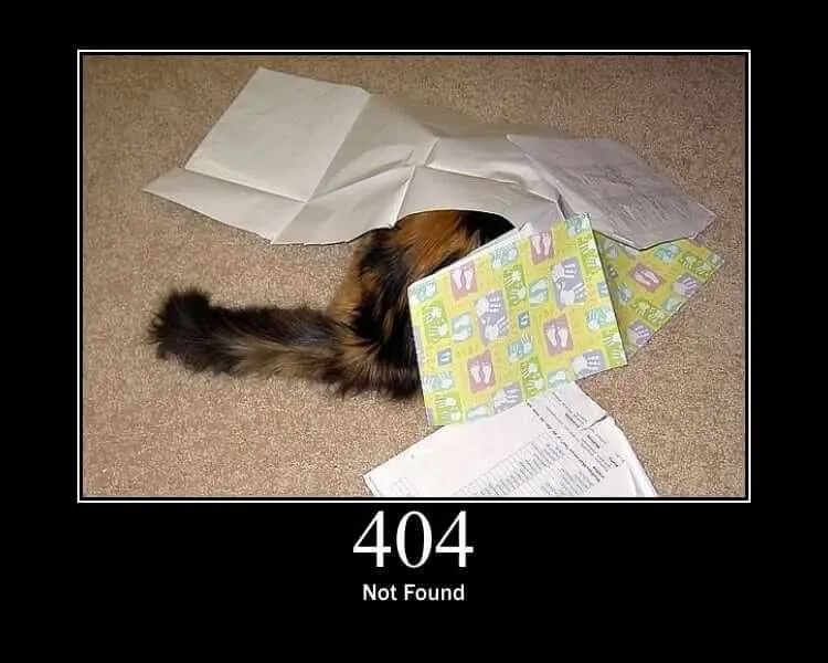 파일:404.jpg