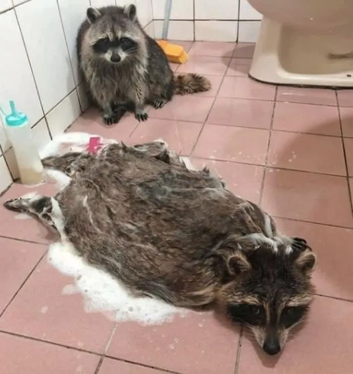 파일:7.jpg