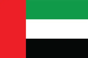 파일:아랍에미리트 국기.jpg