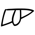 파일:1000301480.png