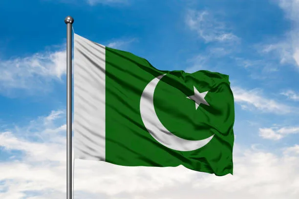 파일:파키스탄 국기3.jpg