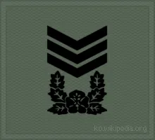 파일:상사 계급장.gif