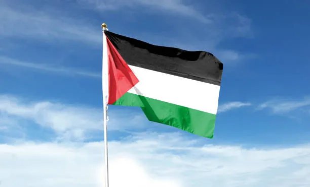 파일:팔레스타인 국기2.jpg