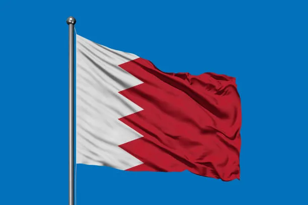 파일:바레인 국기2.jpg