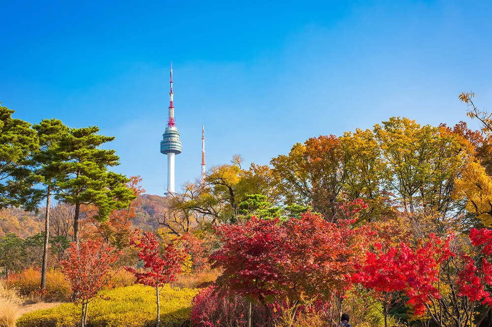 파일:남산서울타워 사진.jpg