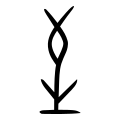 파일:1000301498.png
