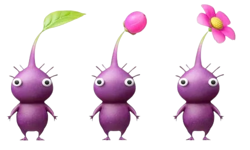 파일:보라 피크민 단계별 사진.png
