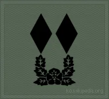 파일:중위 계급장.gif