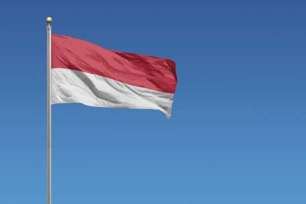 파일:인도네시아 국기2.jpg